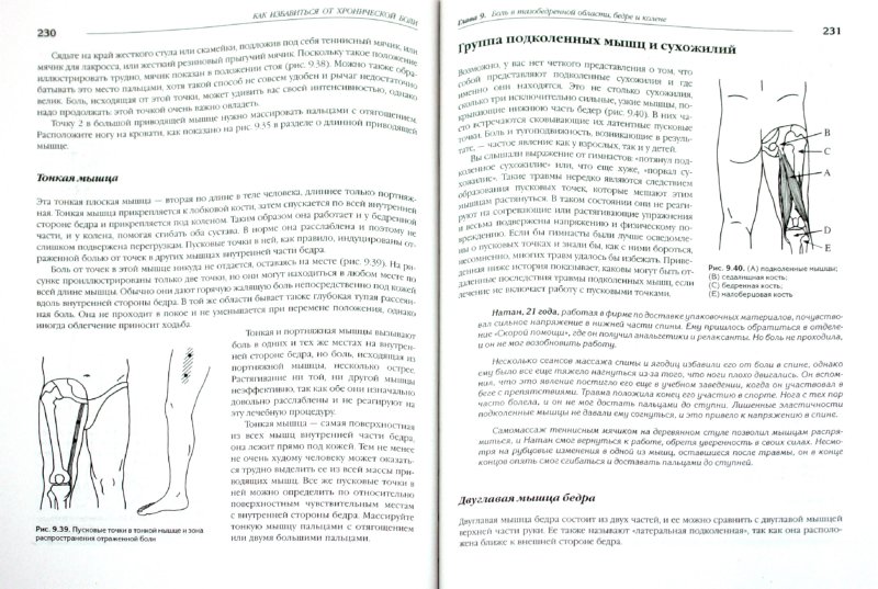 Иллюстрация 1 из 10 для Как избавиться от хронической боли. Самомассаж пусковых точек - Дэвис, Дэвис | Лабиринт - книги. Источник: Лабиринт
