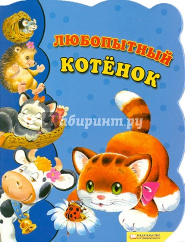 Любопытный котенок