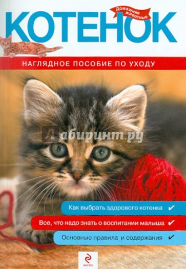 Котенок. Наглядное пособие по уходу