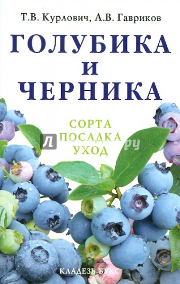 Голубика и черника