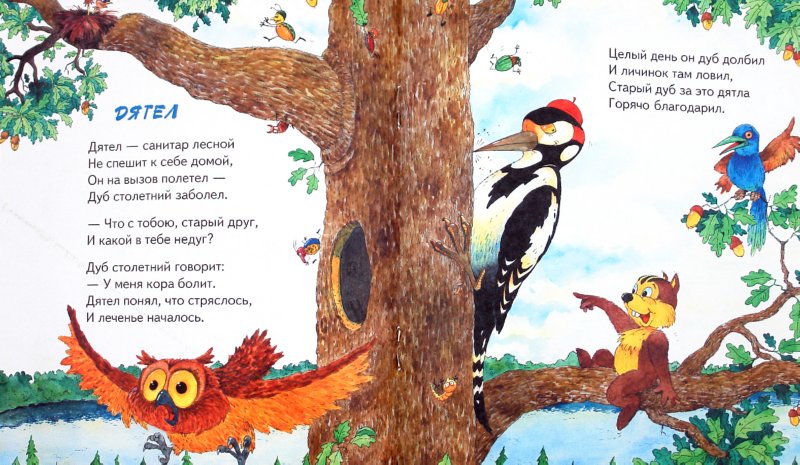 Иллюстрация 1 из 7 для Ребятам о зверятах. Сказочный лес - М. Метелев | Лабиринт - книги. Источник: Лабиринт