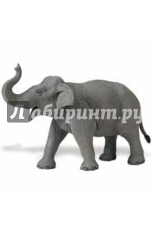 Азиатский слон (112389).