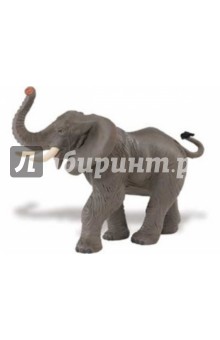 Африканский слон (238429).