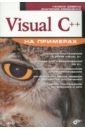 Хомоненко Анатолий Дмитриевич, Довбуш Галина Федоровна Visual C++ (+CD)