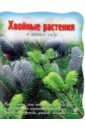 смирнов леонид эллиевич грибы в вашем саду Хвойные растения в вашем саду