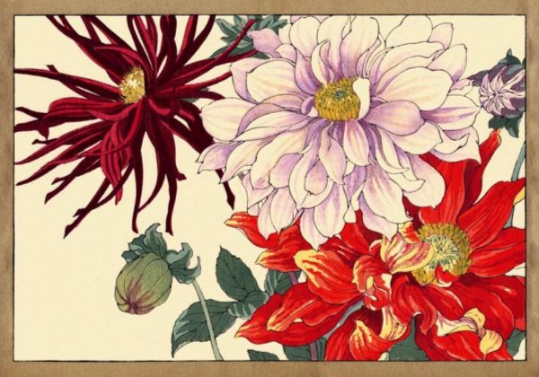 Иллюстрация 3 из 32 для Цветы Конана Танигами. На почтовых открытках | Лабиринт - сувениры. Источник: Лабиринт