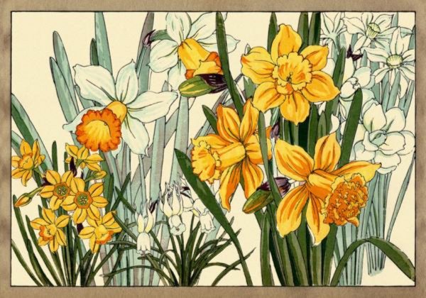 Иллюстрация 5 из 32 для Цветы Конана Танигами. На почтовых открытках | Лабиринт - сувениры. Источник: Лабиринт