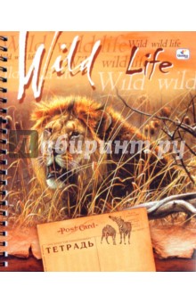  96 ,   Wild Life  (963307)