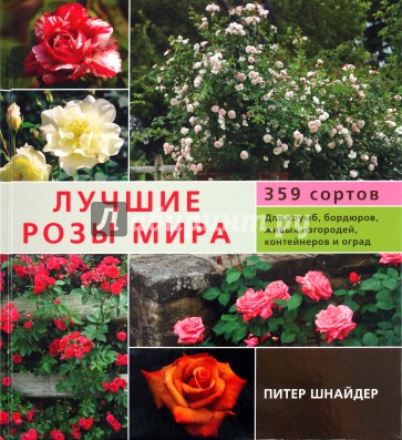 Лучшие розы мира