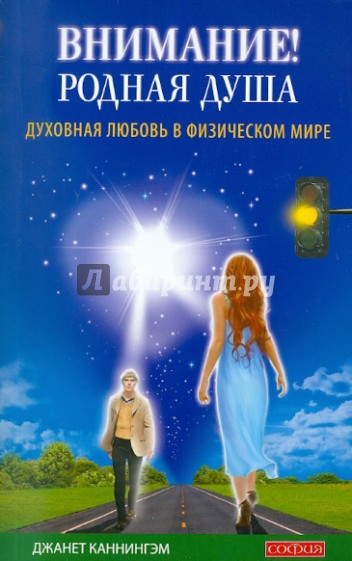 Внимание! Родная душа. Духовная любовь в физическом мире