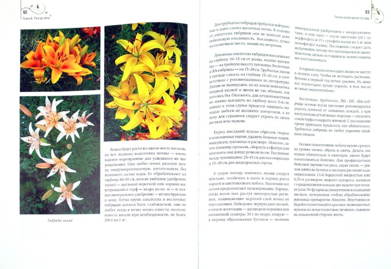 Иллюстрация 1 из 10 для Садовые цветы от снега до снега - Любовь Бобровская | Лабиринт - книги. Источник: Лабиринт