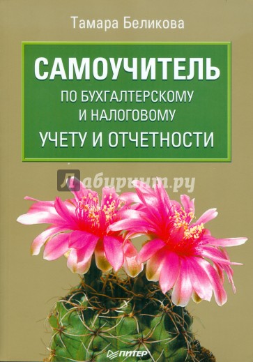 Самоучитель по бухгалтерскому и налоговому учету и отчетности