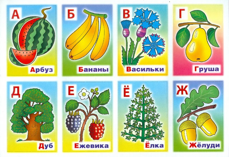 Иллюстрация 1 из 4 для Развивающее лото "Азбука растений" (06197) | Лабиринт - игрушки. Источник: Лабиринт