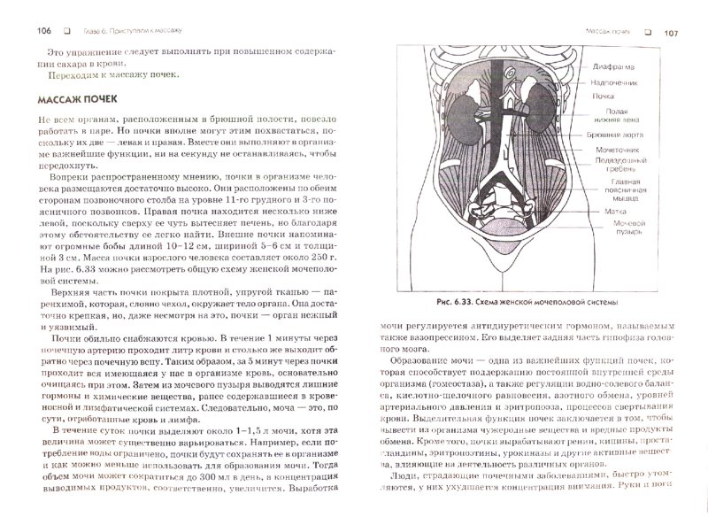 Иллюстрация 3 из 8 для Улучшение зрения для работающих на компьютере. Гимнастика для внутренних органов (+2CD) - Мазовецкая, Вакулич | Лабиринт - книги. Источник: Лабиринт