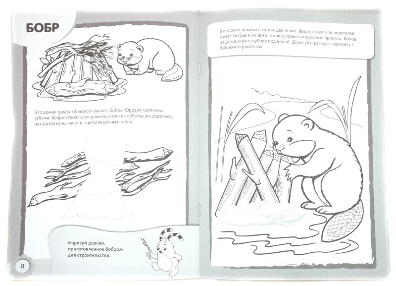Иллюстрация 1 из 9 для Рисуем и раскрашиваем домики животных. 4+ | Лабиринт - книги. Источник: Лабиринт