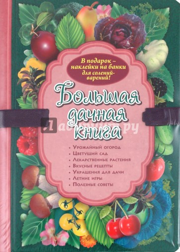 Большая дачная книга