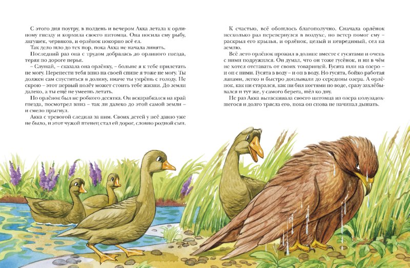 Иллюстрация 2 из 50 для Чудесное путешествие Нильса с дикими гусями - Сельма Лагерлеф | Лабиринт - книги. Источник: Лабиринт