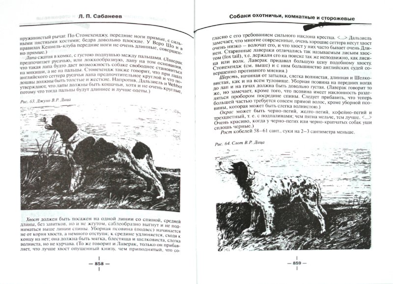 Иллюстрация 1 из 5 для Все об охоте - Леонид Сабанеев | Лабиринт - книги. Источник: Лабиринт