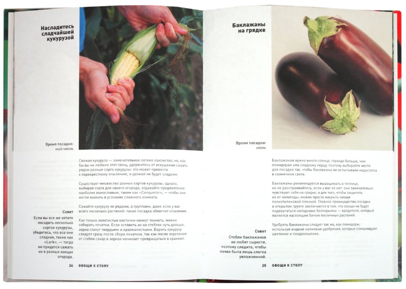 Иллюстрация 1 из 3 для Как вырастить здоровые овощи | Лабиринт - книги. Источник: Лабиринт