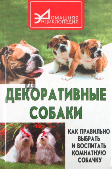 Декоративные собаки: как правильно выбрать и воспитать комнатную собачку