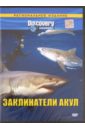 Заклинатели акул. Региональная версия (DVD). Моффит Крэйг