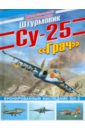 Штурмовик Су-25 