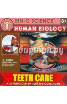 Зубы (E2381NTC).