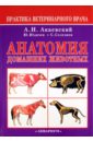 Обложка Анатомия домашних животных
