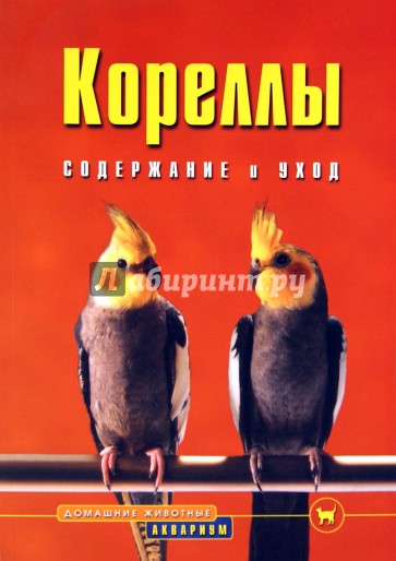 Кореллы. Содержание и уход