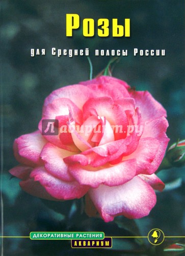 Розы для Средней полосы России. Выращивание и уход