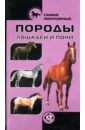 Самые популярные породы лошадей и пони самые популярные породы кошек 12 цветных карточек фгос фгос до
