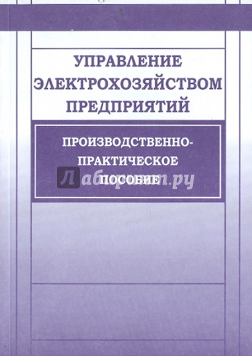 Управление электрохозяйством предприятий. Производственно-практическое пособие