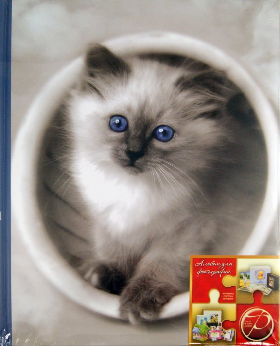 Иллюстрация 1 из 5 для Фотоальбом "Fluffy kittens" (11614 LM-SA10) | Лабиринт - сувениры. Источник: Лабиринт