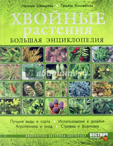 Хвойные растения. Большая энциклопедия