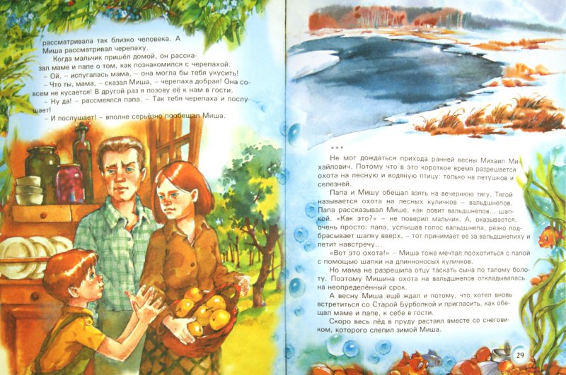 Иллюстрация 1 из 11 для Сказки старой черепахи - Валерий Кастрючин | Лабиринт - книги. Источник: Лабиринт