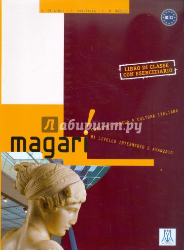 Magari (libro)