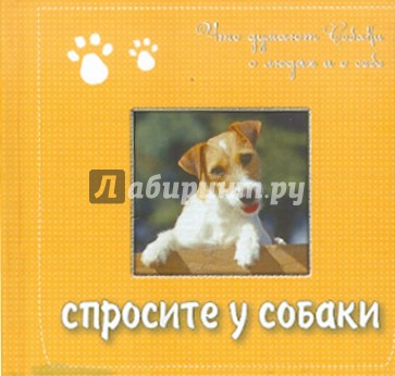 Спросите у собаки: что думают собаки о людях и о себе