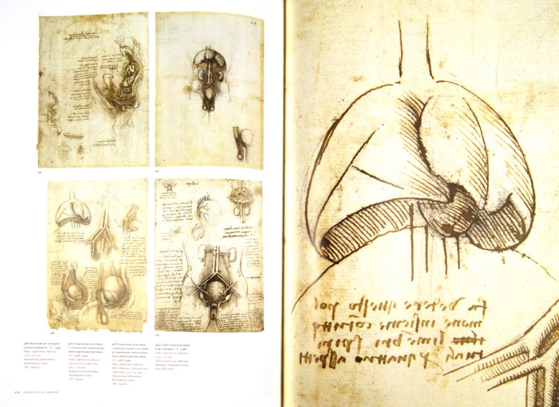 Иллюстрация 1 из 22 для Леонардо да Винчи: Полное собрание живописи и графики в 2-х томах - Цельнер, Натан | Лабиринт - книги. Источник: Лабиринт