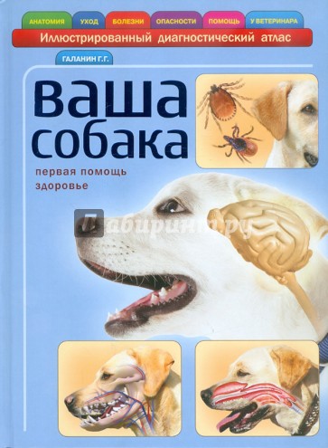 Ваша собака