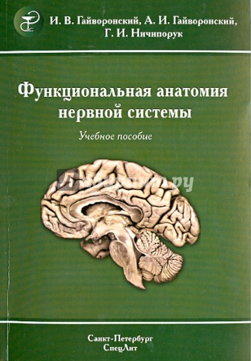 Функциональная анатомия центральной нервной системы