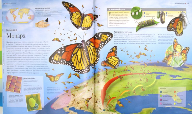 Иллюстрация 1 из 34 для Суперэнциклопедия животных - Вогт, Лонг, Лампкин | Лабиринт - книги. Источник: Лабиринт