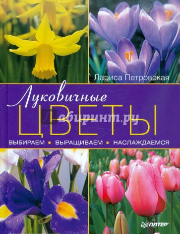 Луковичные цветы: выбираем, выращиваем, наслаждаемся