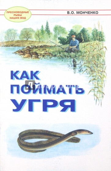 Как поймать угря