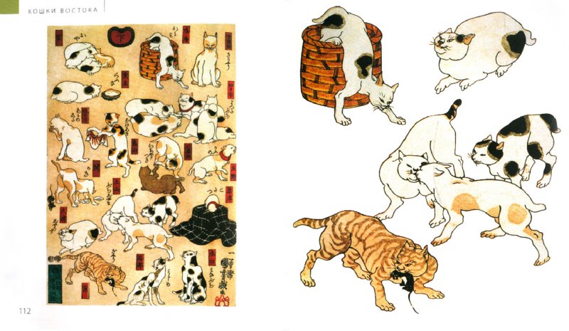 Иллюстрация 1 из 17 для Эрмитаж. Кошки. Дикие и Домашние | Лабиринт - книги. Источник: Лабиринт