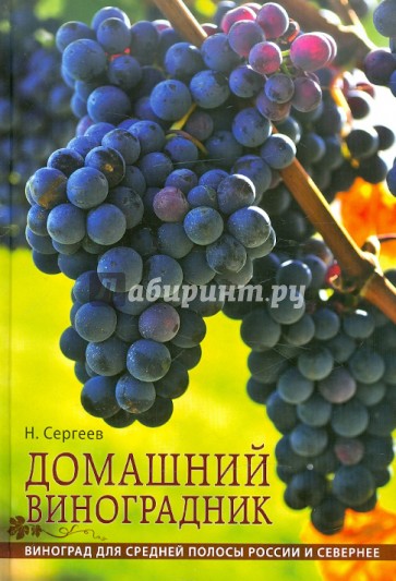 Домашний виноградник