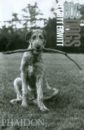 Erwitt Elliott Dog Dogs dmx year of the dog again [vinyl]
