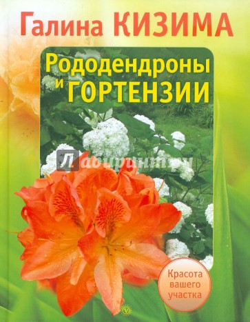 Рододендроны и гортензии