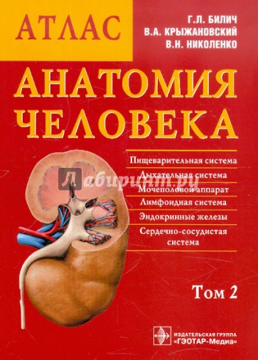 Анатомия человека. Атлас. В 3-х томах. Том 2. Внутренние органы