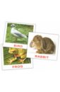 Носова Т. Е., Епанова Е. В. Комплект карточек мини на английском языке Animals 8х10 см носова т е епанова е в комплект карточек ягоды 16 5х19 5 см