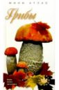 Грибы грибы европодвес